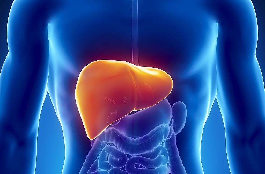 Жировая дистрофия печени — причины, симптомы и методы лечения