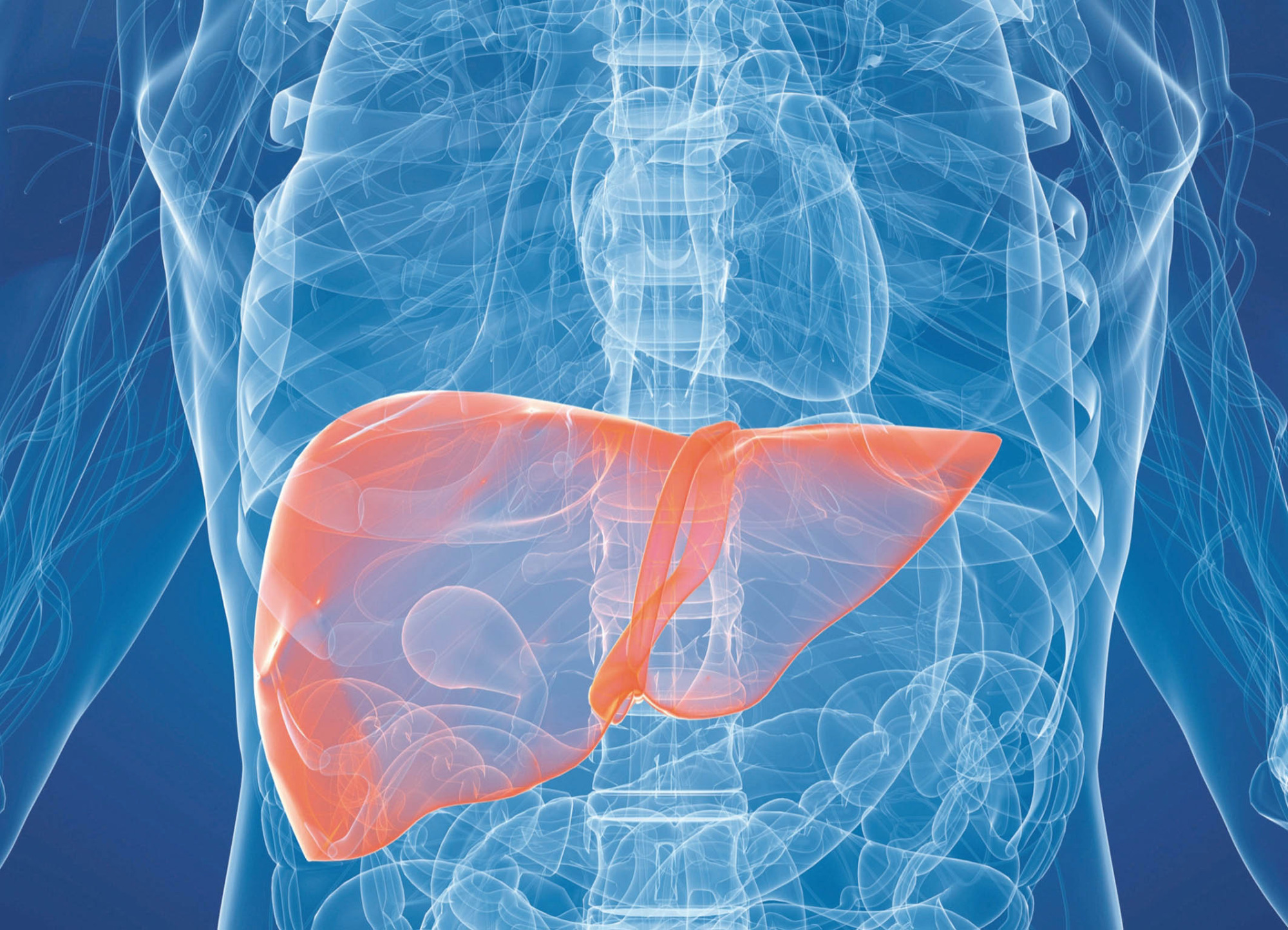 Алкогольный гепатит — симптомы, лечение, прогноз