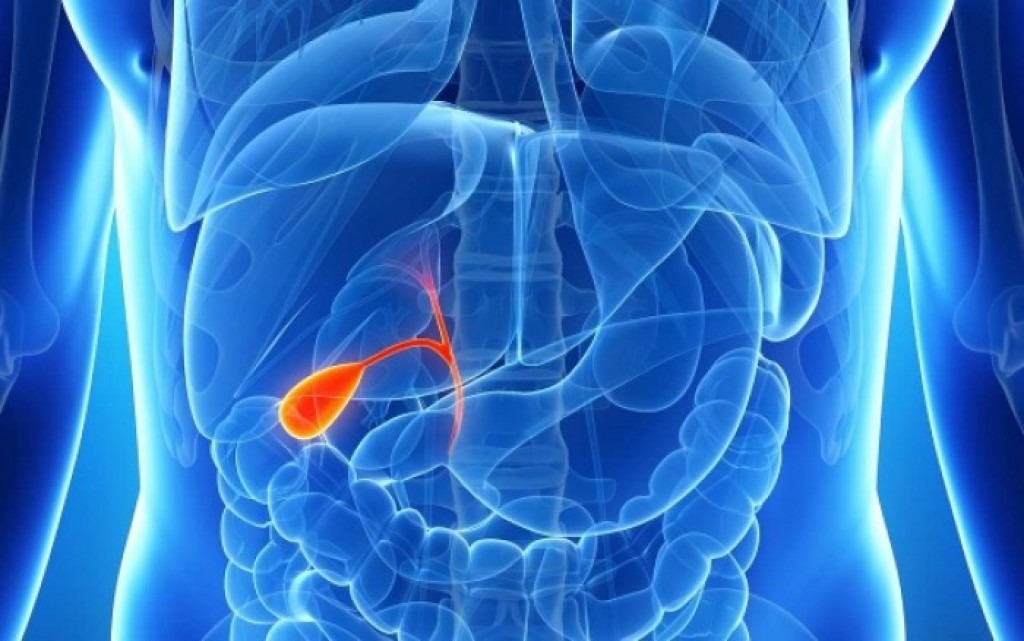 Полипы в желчном пузыре — причины образования, симптомы и методы лечения