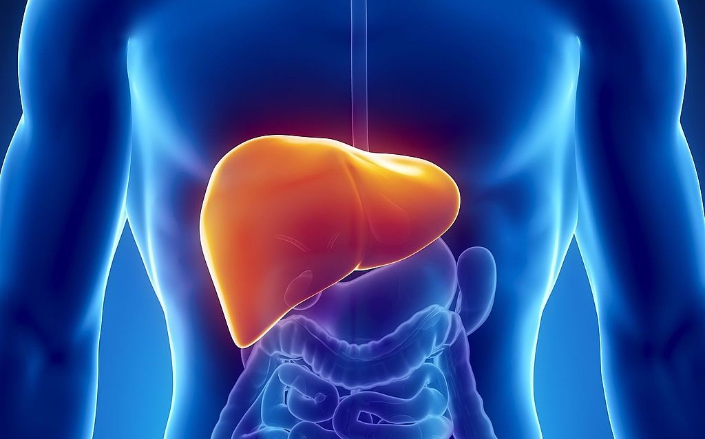 Цирроз печени у мужчин: как лечится болезнь и сколько живут с таким заболеванием