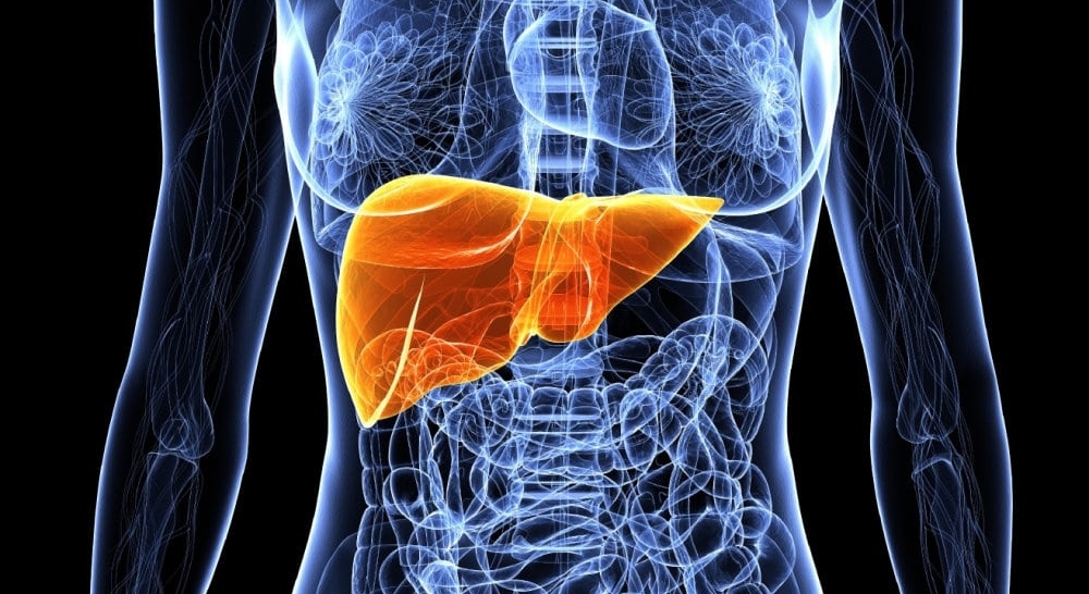 Фиброз печени: что это такое, формы и лечение