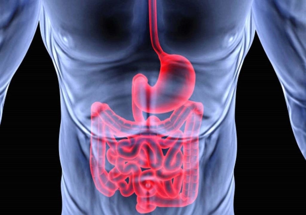 Дисфункция сфинктера Одди: симптомы, формы и способы лечения