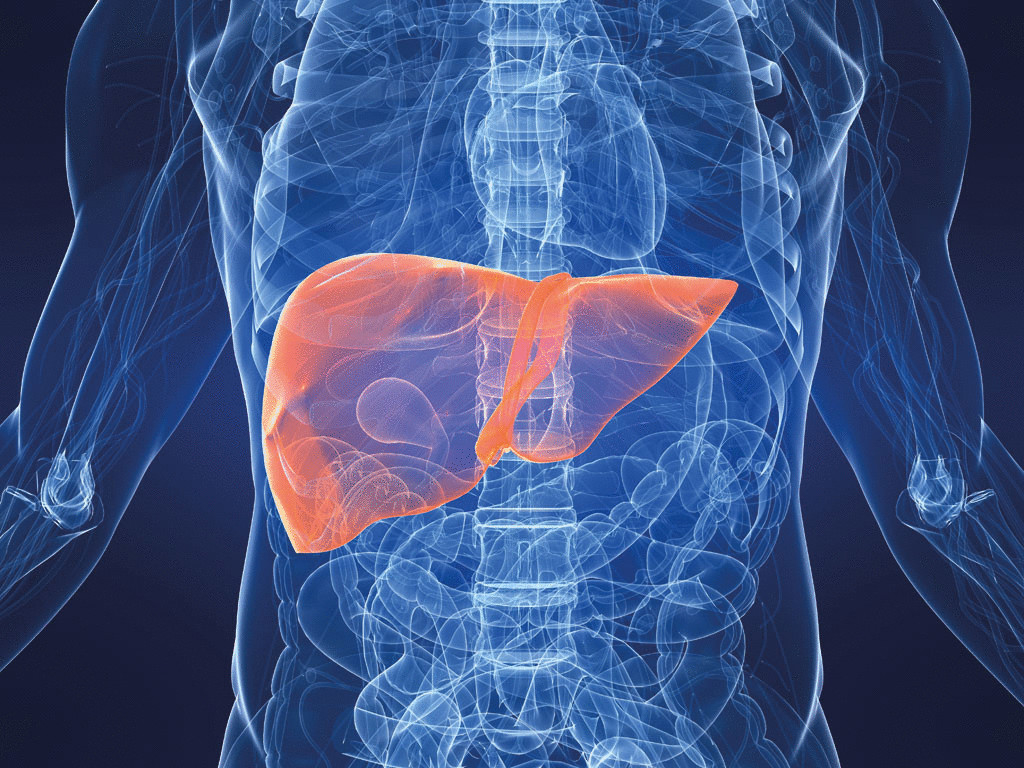 Почему болит печень: симптомы, причины, лечение