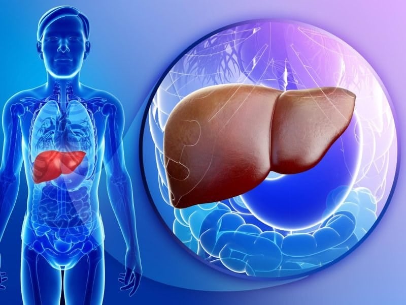 Цирроз печени: можно ли вылечить заболевание?