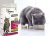 Выбираем качественный сухой корм для кошек