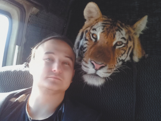 Семья россиян продала все имущество ради хосписа для тигров