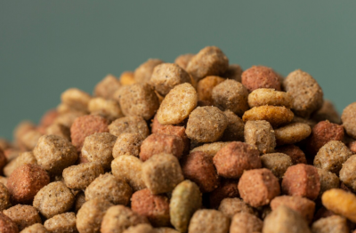 Крафтовый корм и холистик корм для кошек и собак