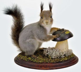 Чучела и ковры из натуральных шкур: элегантность, статус и атмосфера в интерьере