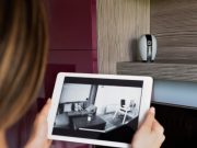 Камера, которая помогает заботиться о питомцах, когда вы на работе